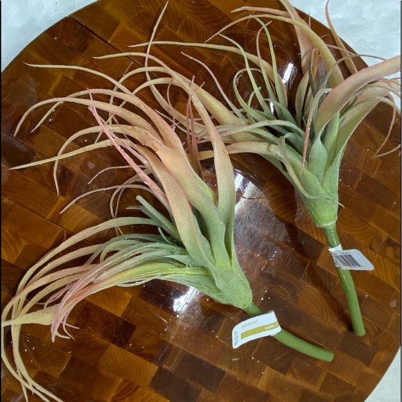 Lot of 4, Faux succulent florals, green and peach - Picture 1 of 7